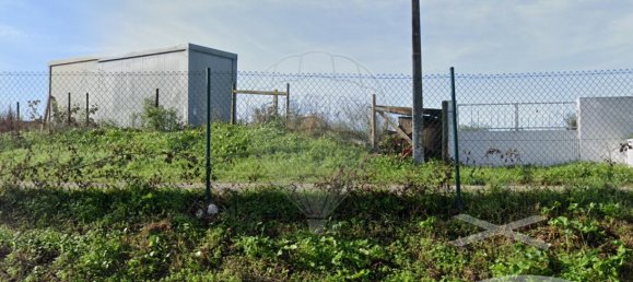 Grundstück in Leiria, Portugal 6000m², Nr. 81394 3