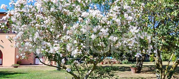 Casa de 30 habitaciónes en Rosignano Marittimo, Italy No. 138849 11