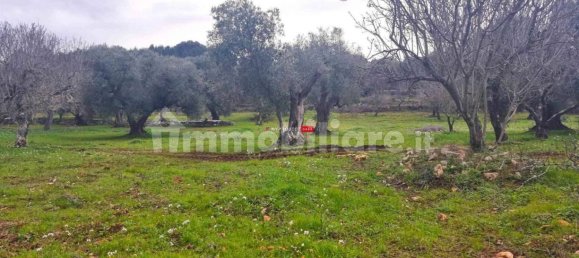 Casa de 2 habitaciónes en Ceglie Messapica, Italy No. 68014 8