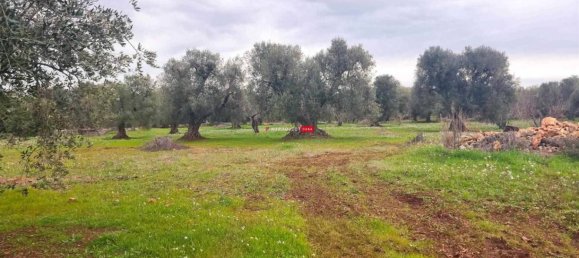Casa de 2 habitaciónes en Ceglie Messapica, Italy No. 68014 7