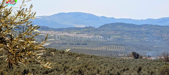 4 غرف نوم منزل في Archidona, Spain رقم 167001 31