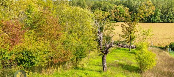 3 bedrooms House in Aulnay-sur-Mauldre, France No. 184485 6