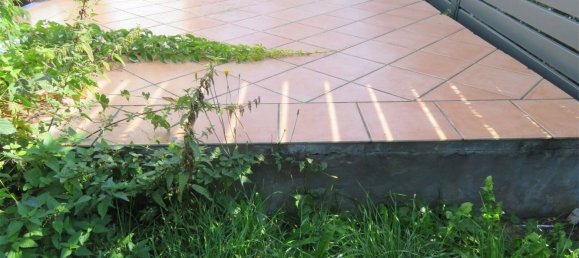 Terreno en Teltow-Flaming, Germany 438 m² No. 65023 5