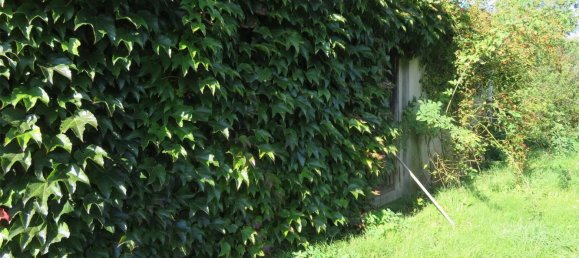 Terreno en Teltow-Flaming, Germany 438 m² No. 65023 7