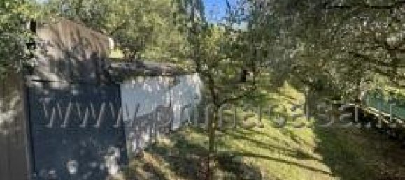 Земельный участок с 1 комнатой в Верона, Италия № 110058 14