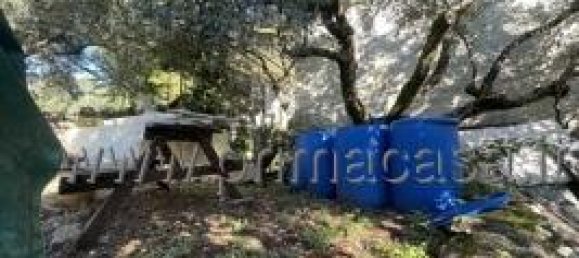 Земельный участок с 1 комнатой в Верона, Италия № 110058 12