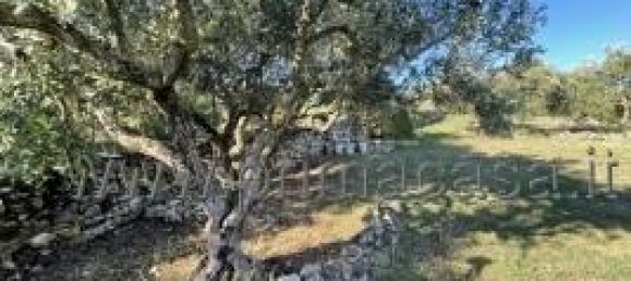 Земельный участок с 1 комнатой в Верона, Италия № 110058 2