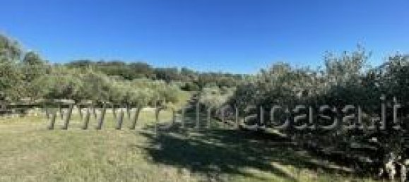 Земельный участок с 1 комнатой в Верона, Италия № 110058 4