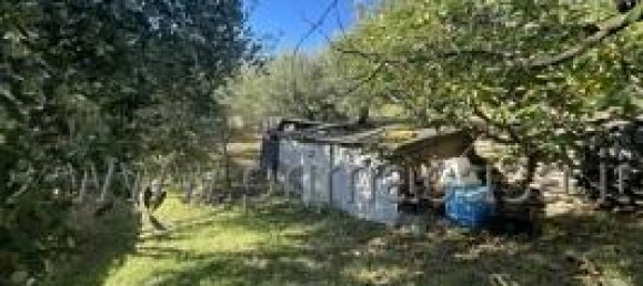 Земельный участок с 1 комнатой в Верона, Италия № 110058 13