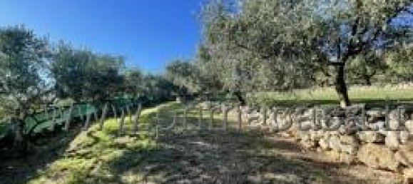 Земельный участок с 1 комнатой в Верона, Италия № 110058 15