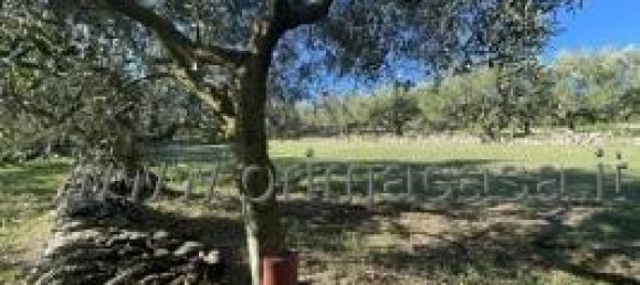 Земельный участок с 1 комнатой в Верона, Италия № 110058 16