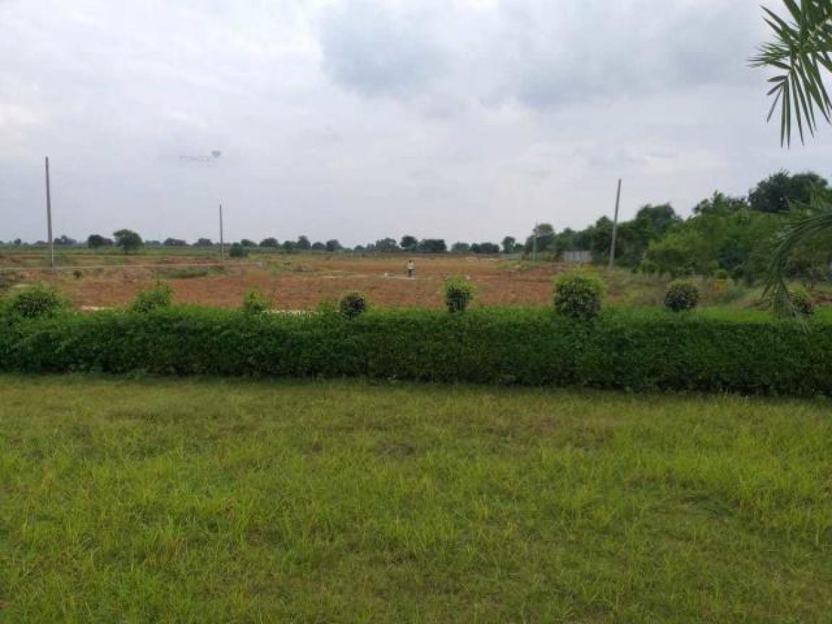  Land in Aligarh, India No. 33535