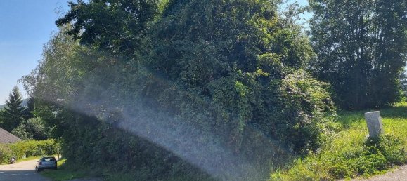 Земельный участок 813м² в Альтленгбах, Австрия № 221413 11