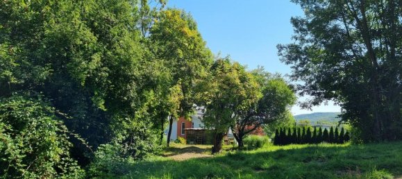 Земельный участок 813м² в Альтленгбах, Австрия № 221413 6