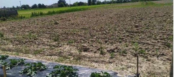 Дом с 7 комнатами в Эраклея, Италия № 258787 12