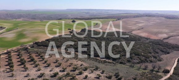  Land in Aranjuez, Spain No. 190963 29