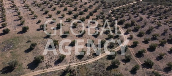  Land in Aranjuez, Spain No. 190963 31