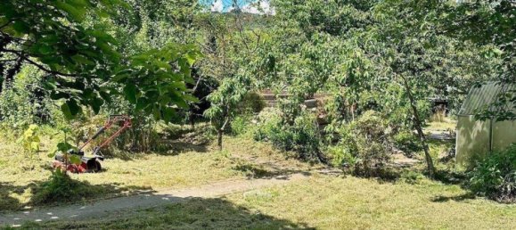  Land in Bernkastel-Wittlich, Germany No. 268237 7