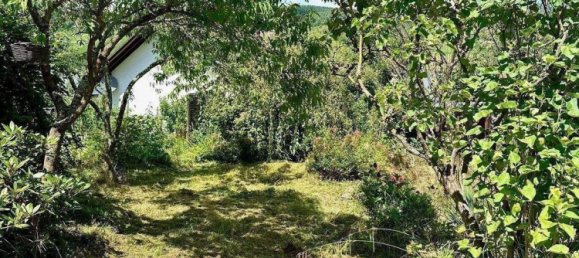  Land in Bernkastel-Wittlich, Germany No. 268237 5