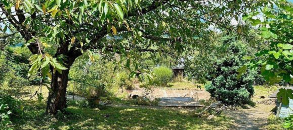  Land in Bernkastel-Wittlich, Germany No. 268237 10