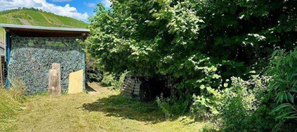  Land in Bernkastel-Wittlich, Germany No. 268237 3