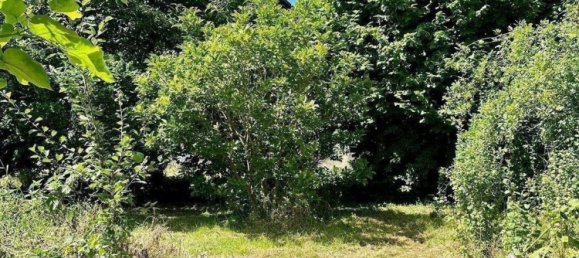  Land in Bernkastel-Wittlich, Germany No. 268237 8