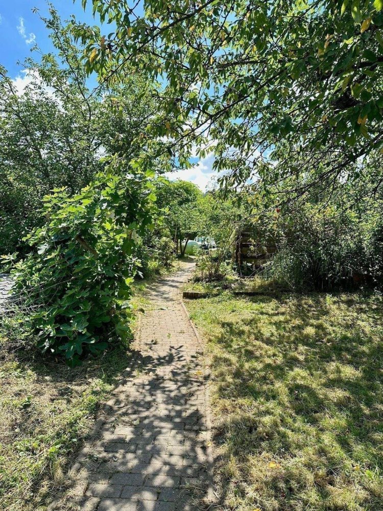  Land in Bernkastel-Wittlich, Germany No. 268237