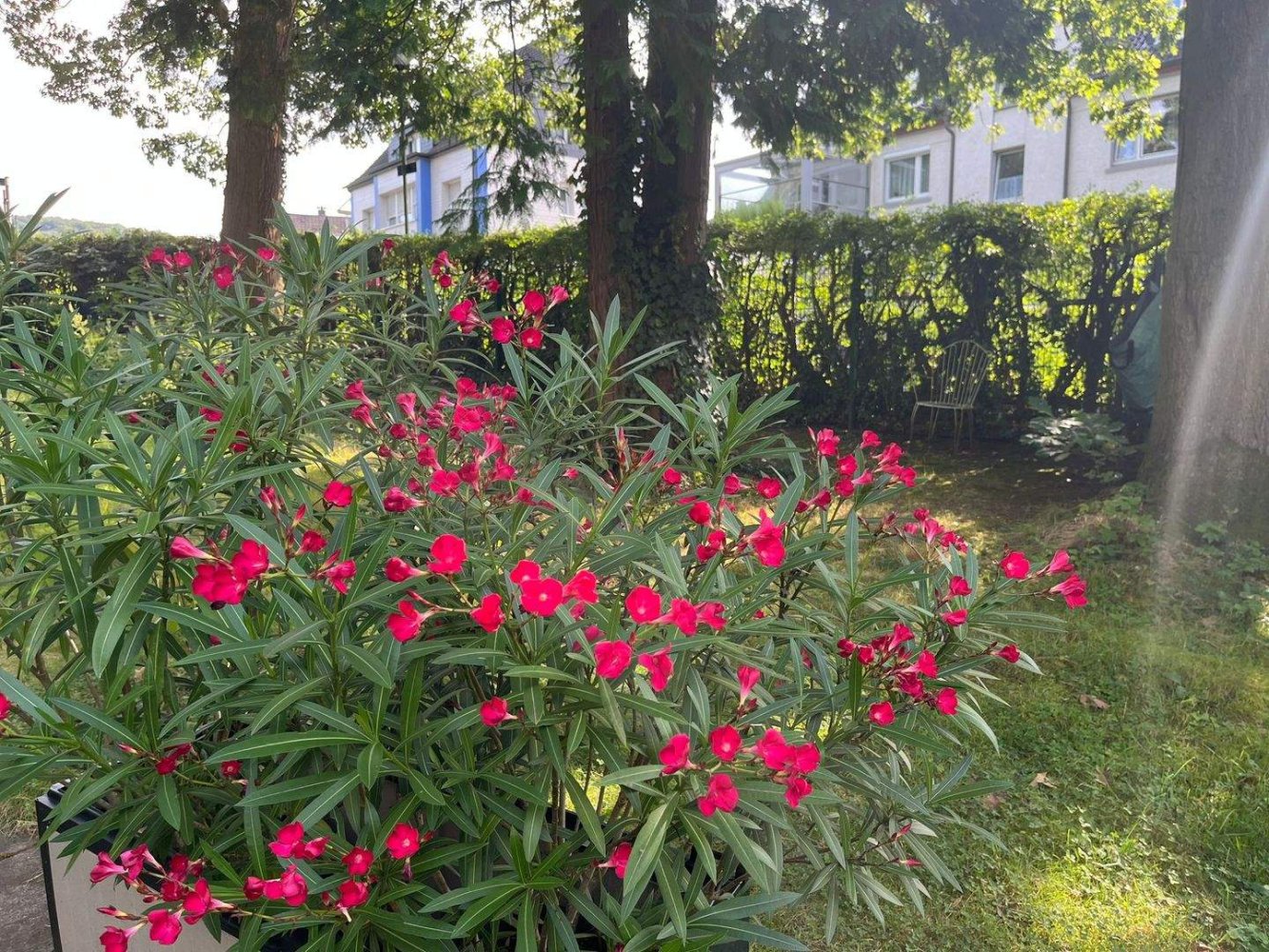 Grundstück in Hagen, Germany, Nr. 345836