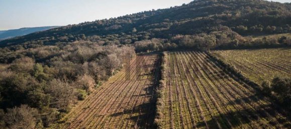 قطعة أرض في Le Bosc, France 43515متر مربع رقم 205409 9