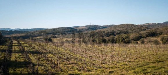 قطعة أرض في Le Bosc, France 43515متر مربع رقم 205409 6