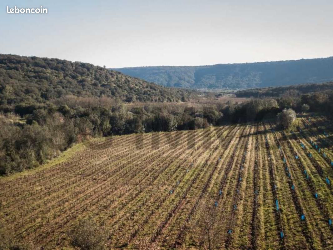  قطعة أرض في Le Bosc, France 43515متر مربع رقم 205409