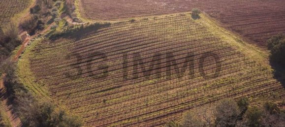 قطعة أرض في Le Bosc, France 43515متر مربع رقم 205409 4