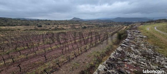 قطعة أرض في Le Bosc, France 43515متر مربع رقم 205409 13