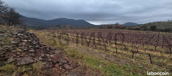 قطعة أرض في Le Bosc, France 43515متر مربع رقم 205409 12