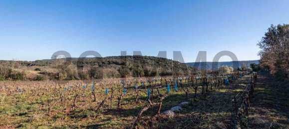 قطعة أرض في Le Bosc, France 43515متر مربع رقم 205409 10