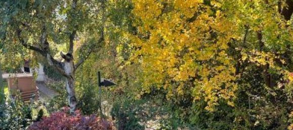 Moradia em banda de 4 divisões em Puchenstuben, Austria N.º 187382 15