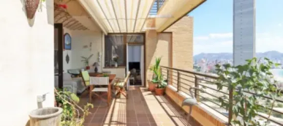 3 chambres Penthouse à Benidorm, Spain No. 74689 32