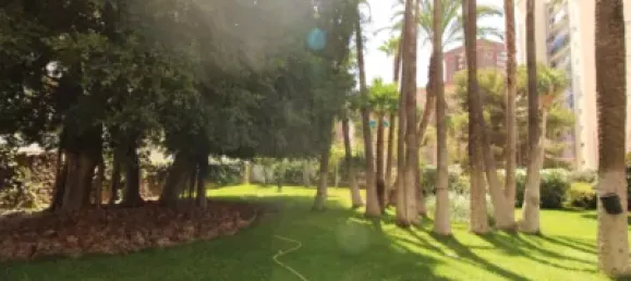 3 chambres Penthouse à Benidorm, Spain No. 74689 38