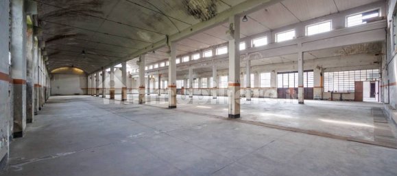 9000m² Warehouse in Moncalieri, Italy No. 55423 4