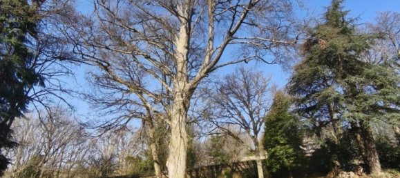 15 bedrooms Castles in Guingamp, France No. 297771 26