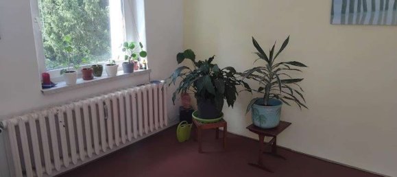 1 غرف نوم شقة في Potsdam-Mittelmark, Germany رقم 238547 8