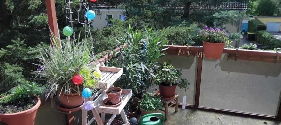 1 غرف نوم شقة في Potsdam-Mittelmark, Germany رقم 238547 12