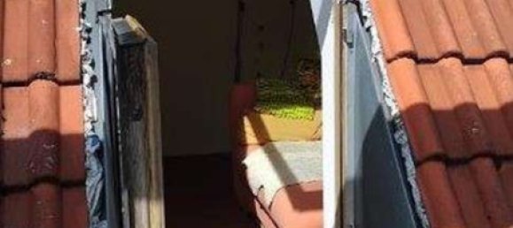 1 غرف نوم شقة في Potsdam-Mittelmark, Germany رقم 238547 13