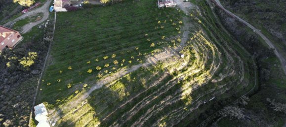  Land in Mijas, Spain No. 147294 11