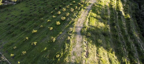  Land in Mijas, Spain No. 147294 16