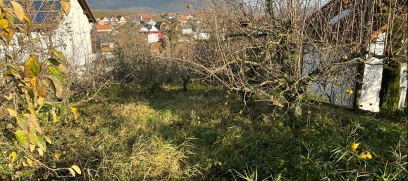 Grundstück in Rheinland-Pfalz, Germany, Nr. 144812 3