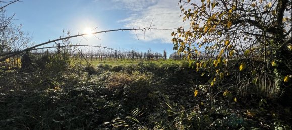 Grundstück in Rheinland-Pfalz, Germany, Nr. 144812 5