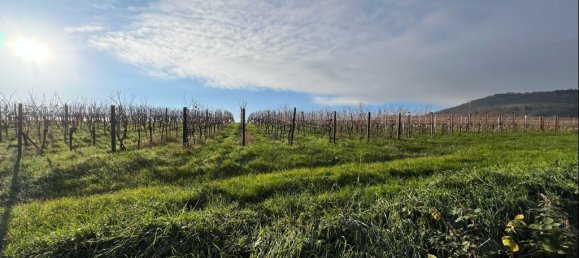 Grundstück in Rheinland-Pfalz, Germany, Nr. 144812 4
