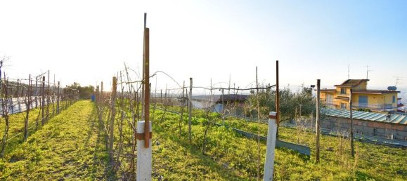 استوديو في Pollena Trocchia, Italy رقم 135814 10