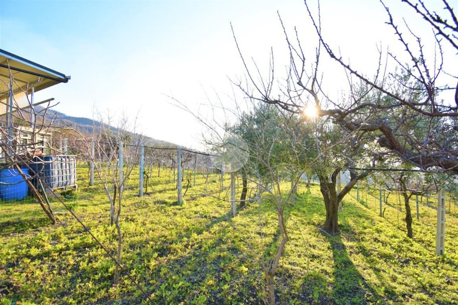 استوديو في Pollena Trocchia, Italy رقم 135814